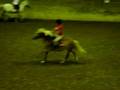 videos de Moi avec Plumo 5