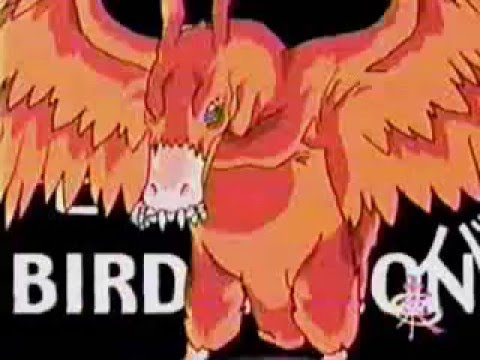 digimon kari