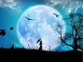 Believe in Faeries ~§~ The Celtic Harmony Believe in Faeries ~§~ The Celtic Harmony