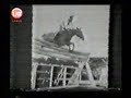 Huaso el caballo campeon