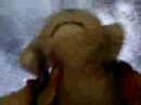 Biscuit\