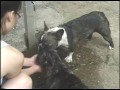 Maggie & Loco on a First Date...