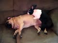 afv-funny-farm-wonder-pets.html