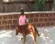 videos de sudiş ve çimen