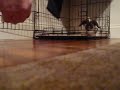 11/25/2008 Oliver Hoppin\