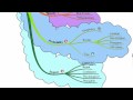 Security Risk Assessments-The Basics