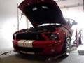 BRENSPEED MUSTANG SHELBY GT500 ON THE BRENSPEED DYNO