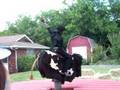 videos de Sedrick on a bull