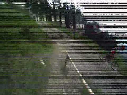Downhill-Trail Herrnsteig