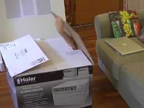 Let me out of this box!