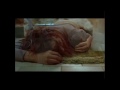 Thieves Like Us 'Your Heart Feels' (Designer Drugs Remix) - Video Remix