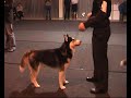 Judge Daniel W  FLEITAS open male