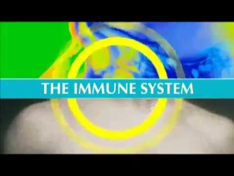 Shaklee Nutriferon®