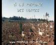 L'Elite - A la mémoire des Notres