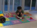 the storyteller
