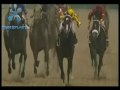 Preakness Video