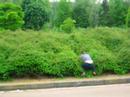 chaud-bouillant.html