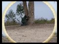 Paintball - Desafius: 17.02.2008