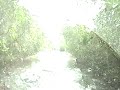 FJ \"Deep Waters\" FJ \"Deep Waters\"