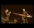 australian vibrations scene ouverte didgeridoo
