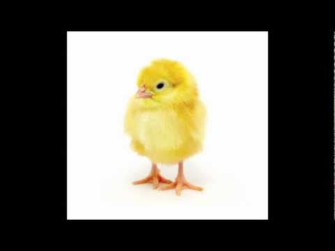 Image de prévisualisation YouTube