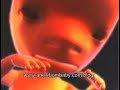 Third Month of Pregnancy