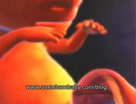 how to care in pregnancy in 3rd month in hindi