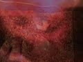 my second video for the song, 