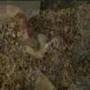 Psychosis - Serpents of Thy Doom
