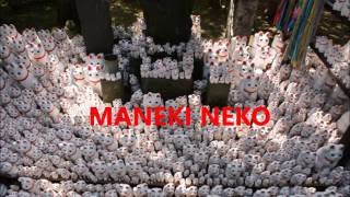 Let’s go see Maneki Neko! Gotokuji in Tokyo Setagaya