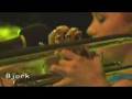 Bjork - Coachella Festival 2007 (Bachelorette)
