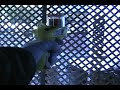 Danger- 9h20 (Fan Video)
