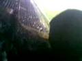 videos de club brugge 1sfeer club -essevee