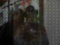 videos de MoMeNtUs dI JoDaX