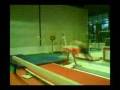 Vault. Hecht - counter salto backward tucked
