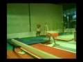 Vault. Hecht - counter salto backward tucked