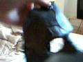 videos de PAUL GRAY SLIPKNOT MASK FOR SALE