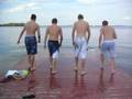 videos de Dock Adventures #2