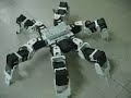 Bioloid King Spider