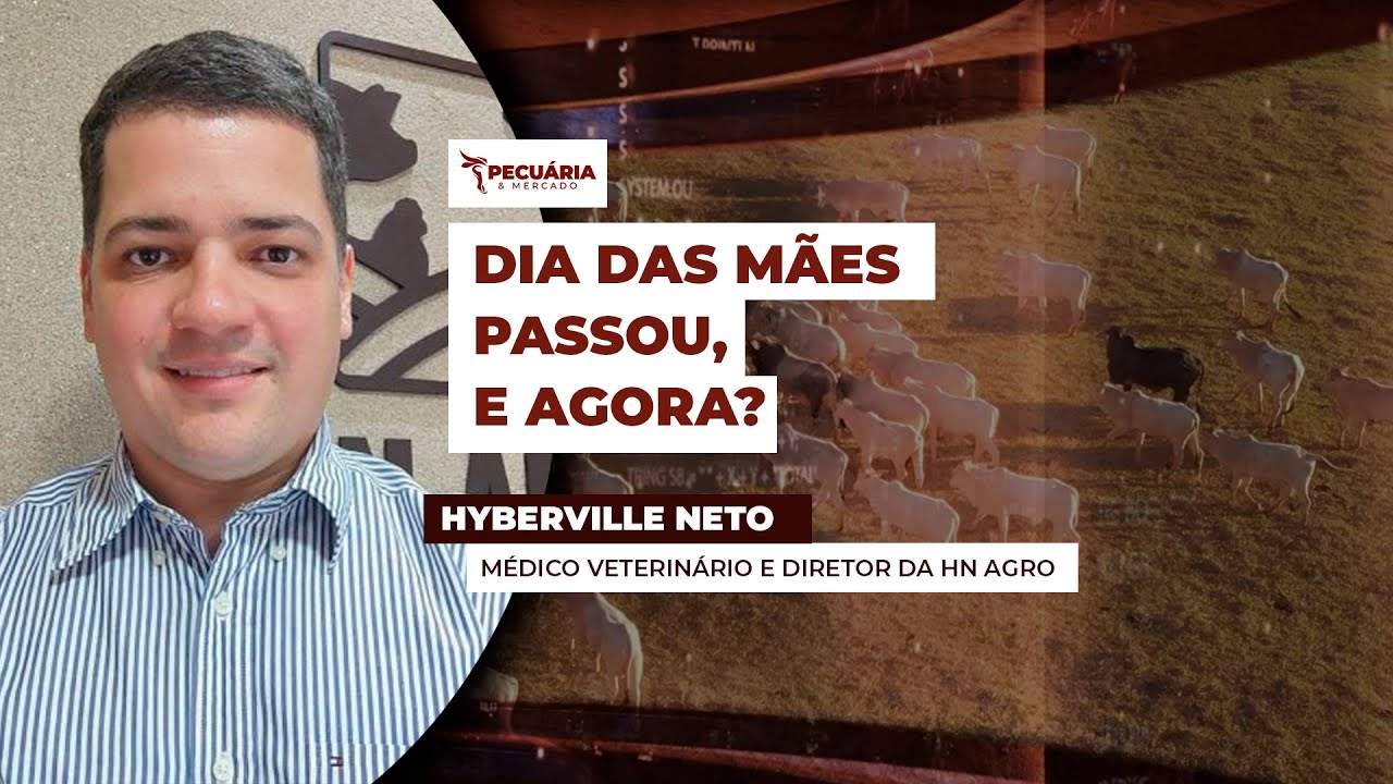 Boas vendas de carne bovina para o Dia das Mães não garantem recuperação da arroba