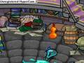 Physicpika TV ~ Pin and New Item!
