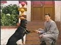 EL HIJO DE TUTA