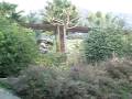 Espartaco al se�uelo