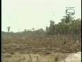13/12/2005 - Microempresas (Dentro das Comissões - 1/2)
