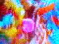 None (Video001.3gp) - Thu Sep 25 12:48:14 2008