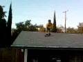 J.C. Skate Roof Ollie