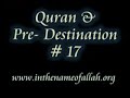 Islam Explained 17 - Predestination