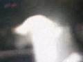 East 1999 Negrum Production