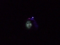 Phantom Manor.wmv