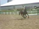 zabu